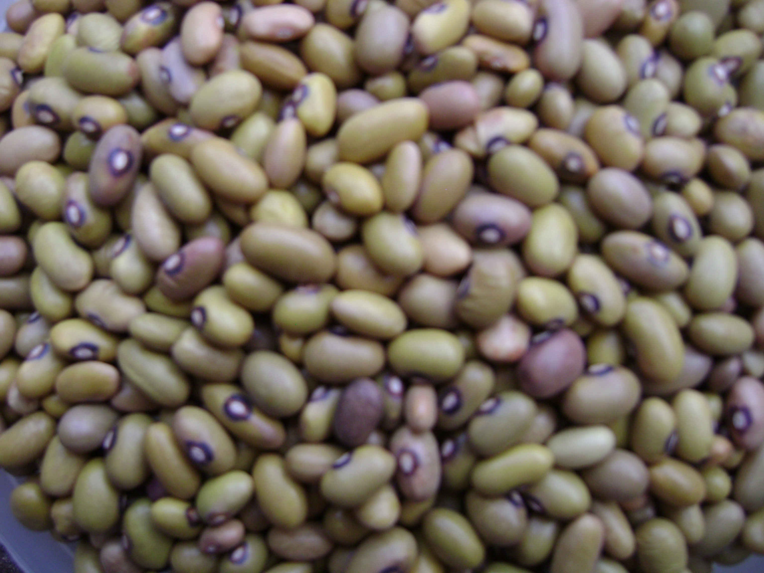 Betta Grains Grain Cereal Traders Dealers Distributors Kenya