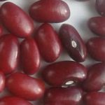 Gachuma/Kachuma Bean (Kenya), alias;  Naser (Ethiopia);  Very similar to Kituru/Gituru bean but is small round deep red kidney bean its small size and polished look sets it apart.  Retail Price Ksh78($0.78)/kg, Wholesale Price Ksh70($0.70)/kg, Ksh6,300($62.63)/90kg bag.